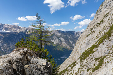 Alpen Berg Landschaft