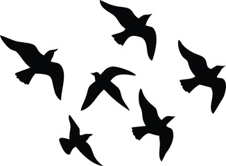Fototapeta premium A collection of black vector bird silhouettes, flying and in motion, perfect for nature and wildlife designs