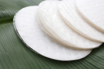 Stacked round sheets of Vietnamese rice paper