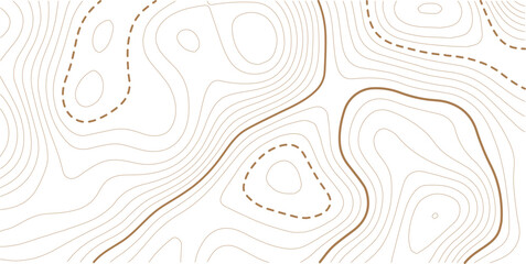 Topographic map Topographic contour lines map seamless pattern. Geographic mountain relief diagram line wave carve pattern. Abstract topo contour map on white background.