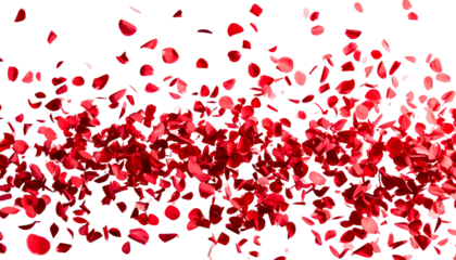 Red rose petals fluttering on a white background.