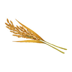 Vector watercolor illustration / 水彩テイストの稲