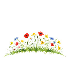 Watercolor meadow wildflowers with poppies daisies and buttercups isolated on transparent background
