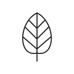 vector illustration of a leaf