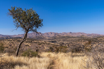 Paysage de la Namibie
