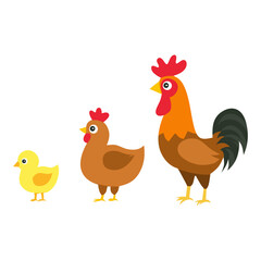 Adorable vector illustration of a chicken family: chick, hen, and rooster. Great for educational content, farm-themed designs, and children’s learning materials.