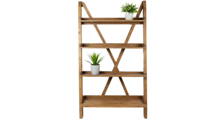 Wooden ladder bookshelf with potted plants isolated on white background