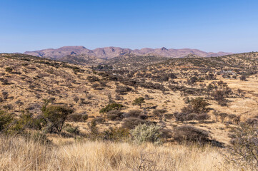Paysage de la Namibie