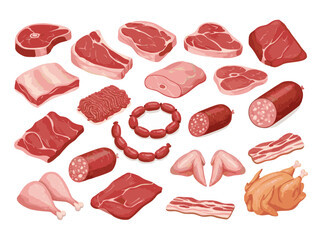 A detailed flat vector illustration of various types of raw and processed meat products