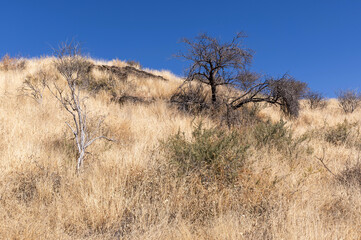 Paysage de la Namibie