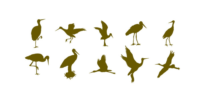Collection of flying crane bird silhouettes in various flight poses, isolated vector wildlife illustrations with elegant crane wings spread and migration concept