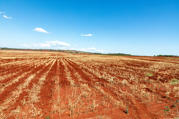 Fototapeta premium red soil farm in Australia