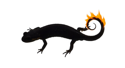 Naklejka premium Black salamander silhouette with flaming tail isolated on white background
