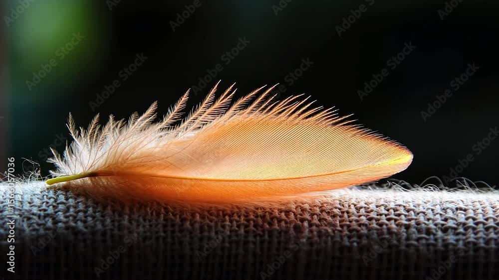 Poster a close-up of a delicate, orange-toned feather with intricate patterns resting on a textured light g