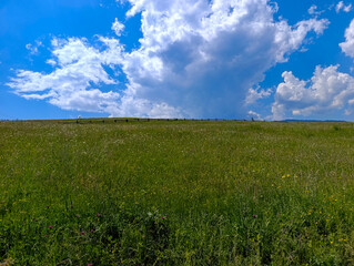 A grassy field with a fence in the middle of it