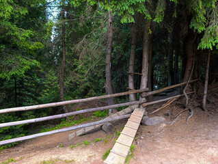 A wooden fence in the middle of a forest