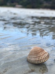 Liquid Metal–Like Tide Flowing In at Tribune Bay, Hornby Island, British Columbia