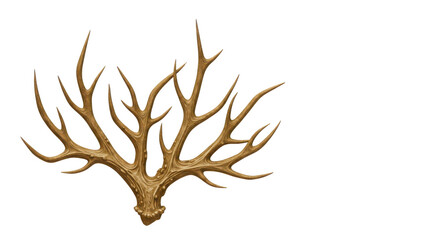Deer antlers illustration graphic for hunting or wildlife design isolated PNG with Transparent Background