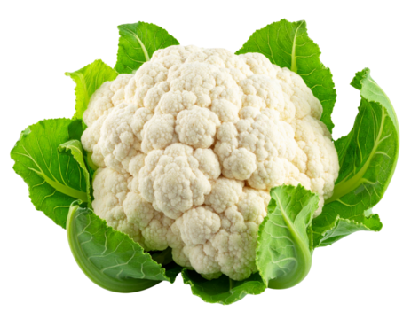 cauliflower clipart image on transparent background.
