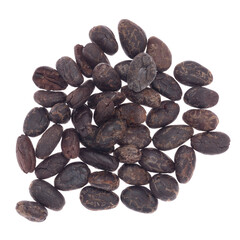 Cacao beans isolated on white background. Cocoa beans roasted used to make chocolate. Superfood. 