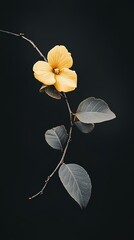 Modern botanical composition with vibrant contrast