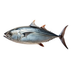 Obraz premium tuna fish on transparent background (3).png, tuna fish on transparent