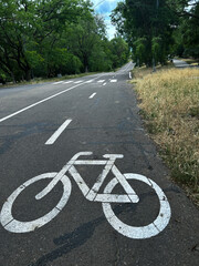 Bicycle lane on a scenic road surrounded by trees, located along the Health Route Trasa Zdorovia in Odesa, Ukraine. The bike path is marked with a white bicycle symbol and stretches into the distance