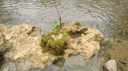 Close up picture of rock in the river