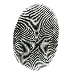 White fingerprint impression on isolated on a transparent background detail pattern
