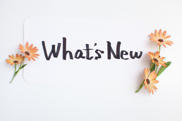 白い背景に「What's New」サイン