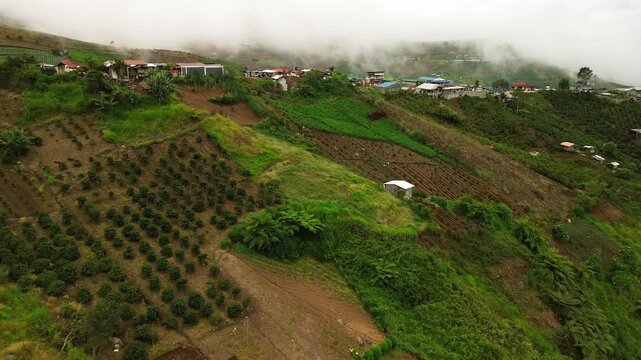 Mount Apo&rsquo;s steep slope displays chequered coffee bushes, bright vegetable plots and scattered huts, while low cloud drifts over the green landscape.