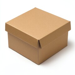 Brown cardboard box on a white isolated background.