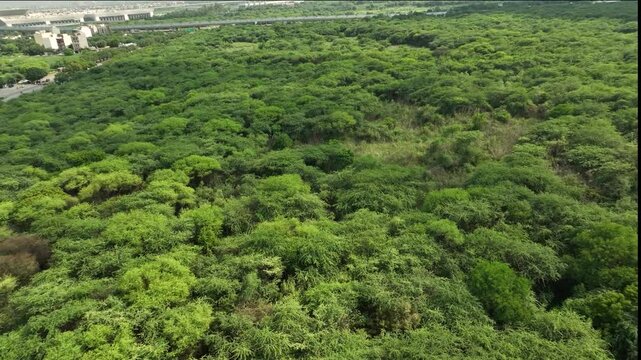Drone view of green forest near Dwarka Delhi