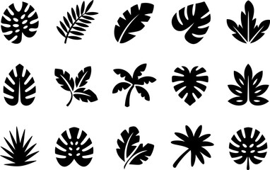 Tropical plant leaf vector set, jungle foliage silhouette, monstera and palm leaves, botanical illustration, nature design