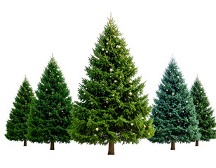 Fototapeta premium A festive collection of evergreen Christmas trees adorned with sparkling ornaments ready for holiday celebrations.