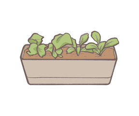 Long pot of green vegetables (houseplant). Young Seedlings Growing in Planter Box – Hand Drawn Botanical Illustration