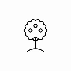 fruit tree icon sign vector