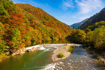 秋田県の抱き返り渓谷の秋景色