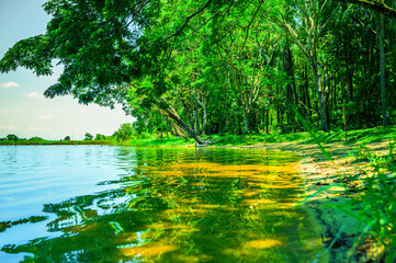 Landscape Series : View of Huay Tueng Thao Lake in Chiang Mai Province. Shady lakes and cool air. Abstract of nature. Beautiful scenery of lake view.