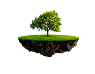 A vibrant green tree thrives on a suspended island of lush earth, symbolizing growth and ecological balance.