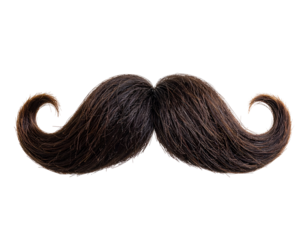 An intricately styled dark brown mustache with gracefully curled ends embodies a timeless and distinguished look.