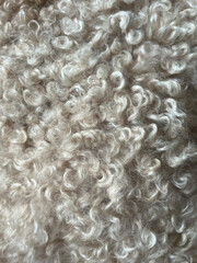 close up of a fur texture
