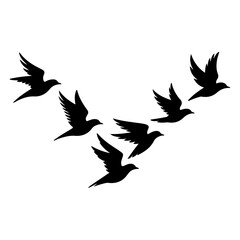Obraz premium Unique and high quality Flock of birds silhouette set