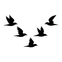 Unique and high quality Flock of birds silhouette set