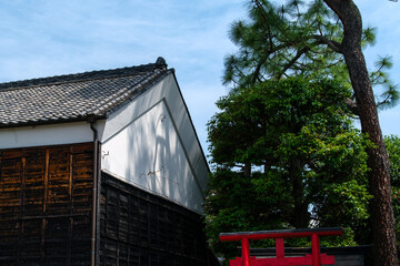 土蔵の木影
