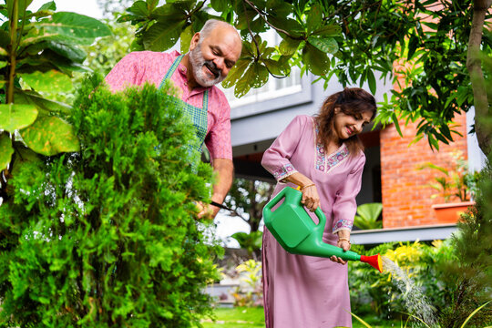 Retired Indian couple watering plants together in home garden, enjoying peaceful morning activity