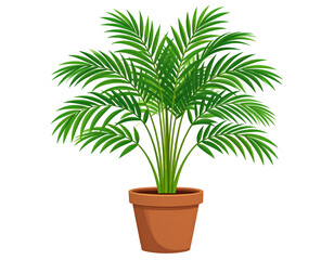 Obraz premium Lush green potted palm tree, vibrant foliage