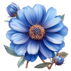 blue flower on white background