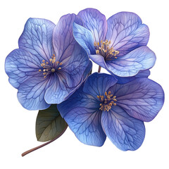 purple flower on transparent background