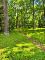  Saint-petersburg, Russia:24-July-2024:A quieter spot inside the gardens,a shady section with tall trees,green grass,a small narrow path or drainage line running through the lawn in Peterhof Palace